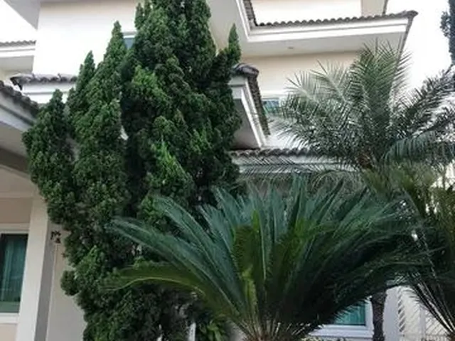 Imagem: Casa 4 Dormitórios em Condomínio Cajuru