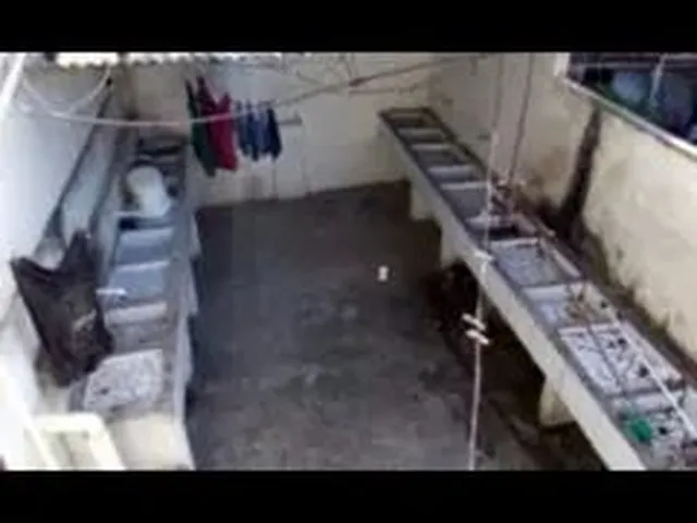Imagem 8: Casa 1/4 Kitinet com Água e Luz Incluso
