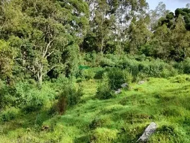 Imagem: Chácara em Delfim Moreira-Mg