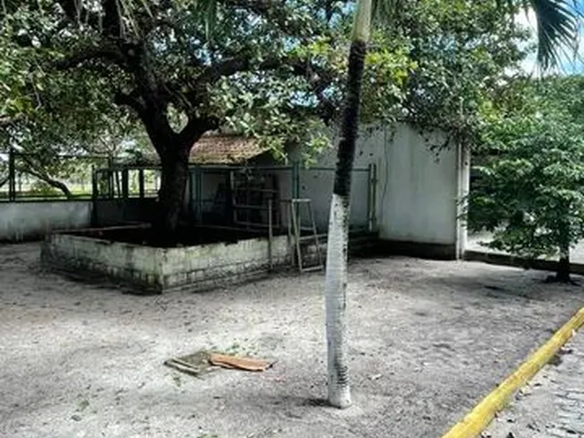 Imagem 3: Sitio na Lagoa do Banana Caucaia. 1Sfspts