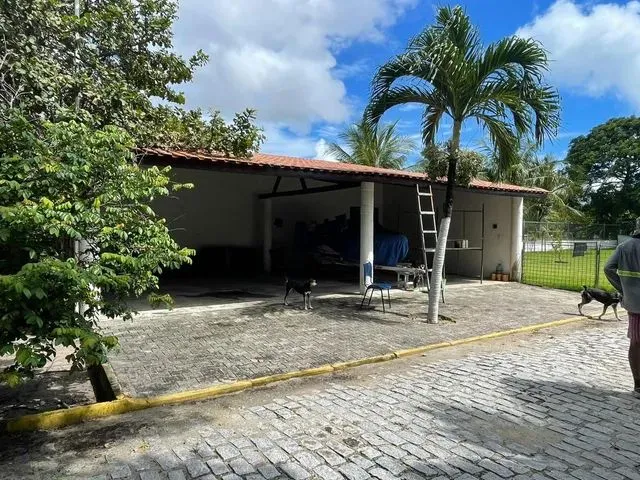 Imagem 6: Sitio na Lagoa do Banana Caucaia. 1Sfspts