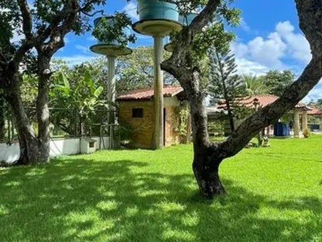 Imagem 16: Sitio na Lagoa do Banana Caucaia. 1Sfspts