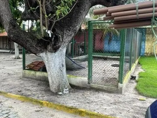 Imagem 11: Sitio na Lagoa do Banana Caucaia. 1Sfspts