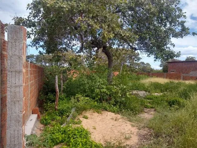 Imagem: Terreno na Redonda Icapui
