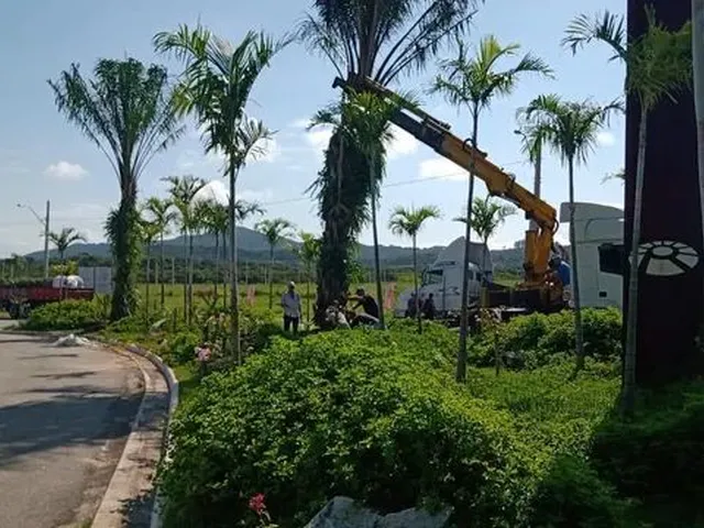 Imagem 15: Terreno Disponível para À Venda Próximo a Vargem do Bom Jesus, Florianópolis, Sc