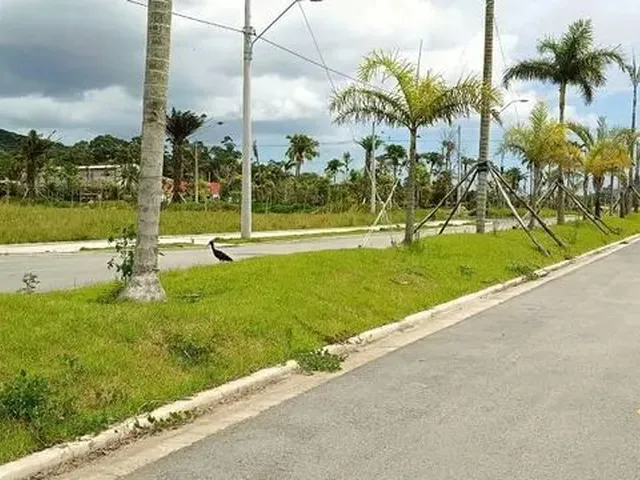 Imagem 4: Terreno Disponível para À Venda Próximo a Vargem do Bom Jesus, Florianópolis, Sc