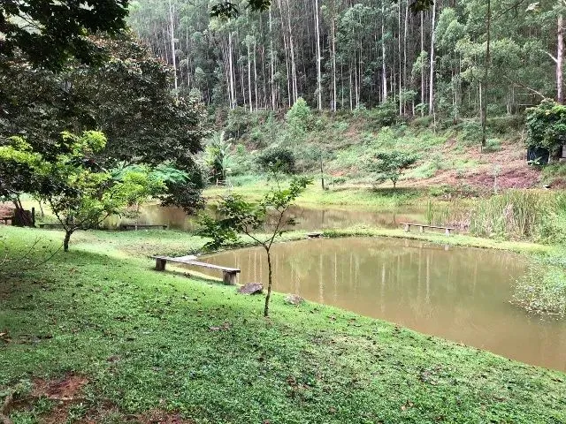 Imagem 3: Vendo Sítio em Marechal Floriano