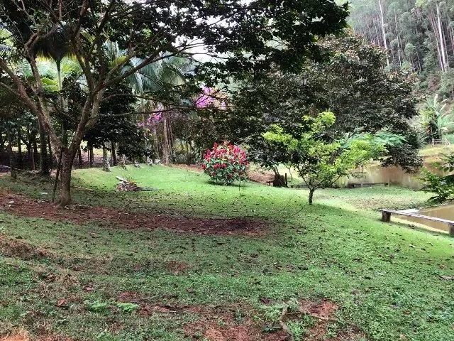 Imagem 4: Vendo Sítio em Marechal Floriano