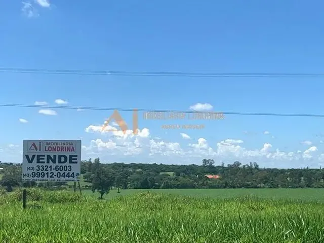 Imagem: Terreno em Rua - Jardim santa Adelaide