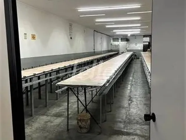 Imagem: São Paulo - Galpão/Depósito/Armazém