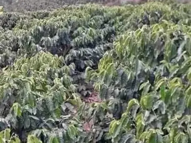 Imagem: Crédito Rural