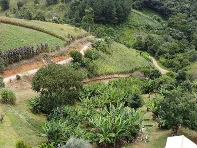 Imagem: Chácara em Campo Magro