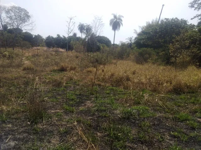 Imagem 12: Sitio de 5 Mil Metros com Casa Simples Perto da Serra do Cipo!