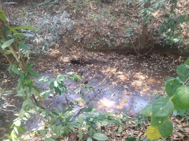 Imagem 15: Sitio de 5 Mil Metros com Casa Simples Perto da Serra do Cipo!