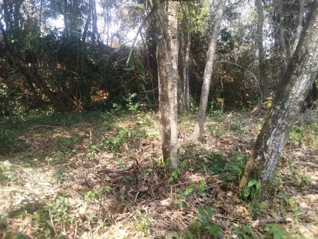Imagem 7: Sitio de 5 Mil Metros com Casa Simples Perto da Serra do Cipo!