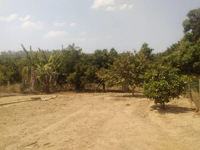 Imagem 9: Sitio de 5 Mil Metros com Casa Simples Perto da Serra do Cipo!