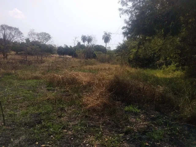 Imagem 16: Sitio de 5 Mil Metros com Casa Simples Perto da Serra do Cipo!