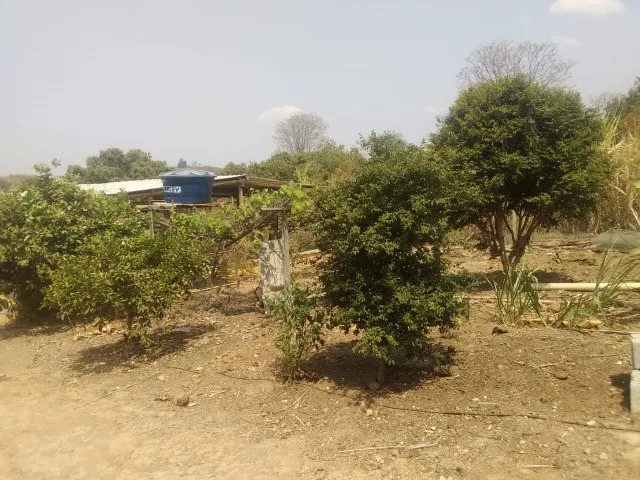 Imagem 10: Sitio de 5 Mil Metros com Casa Simples Perto da Serra do Cipo!