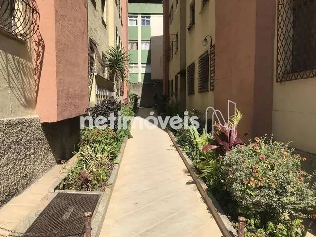 Imagem 14: Locação Apartamento 2 Quartos Eldorado Contagem
