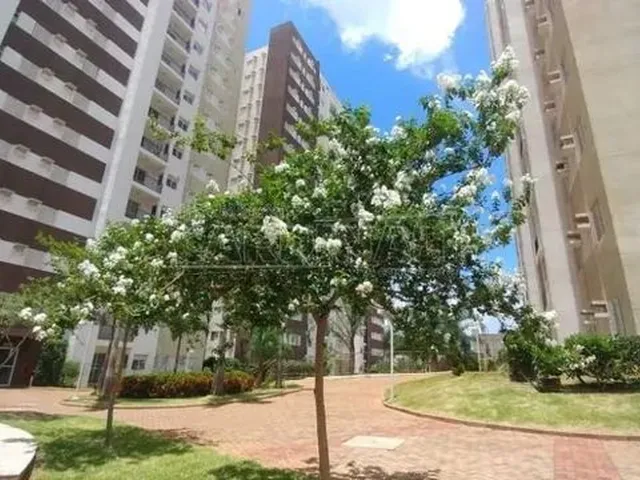 Imagem 13: Apartamento Padrão em Araraquara
