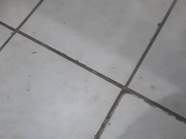 Imagem: Alguma Casa pra Alugar na Zona Norte