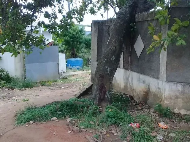 Imagem: Alugo Casa Térrea 2Q Sendo 1 Suíte, Varanda