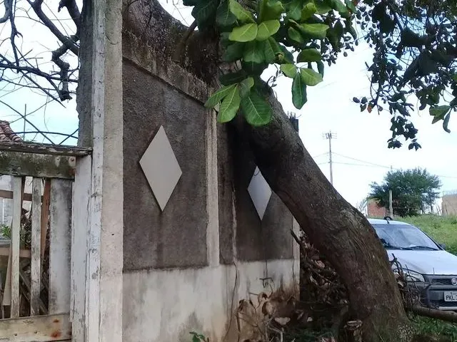Imagem 4: Alugo Casa Térrea 2Q Sendo 1 Suíte, Varanda e Área de Serviços, Estacionamento
