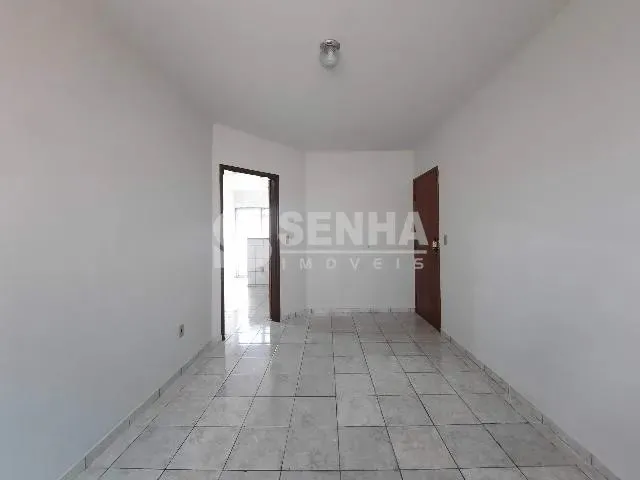Imagem 8: Aluguel Apartamento Saraiva