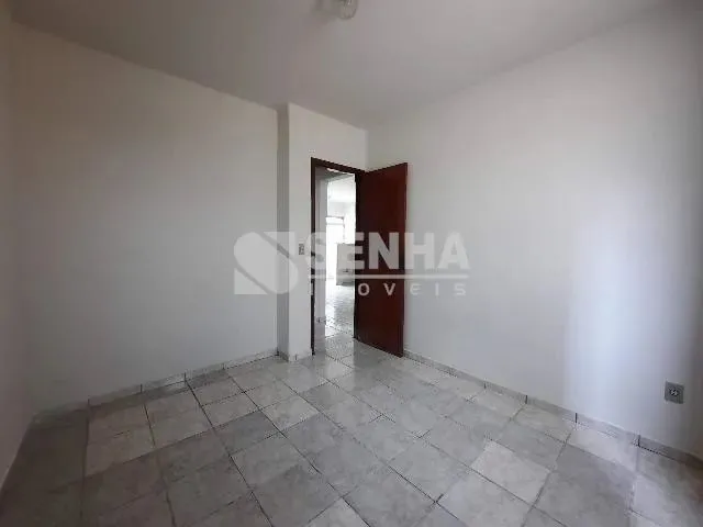 Imagem 15: Aluguel Apartamento Saraiva