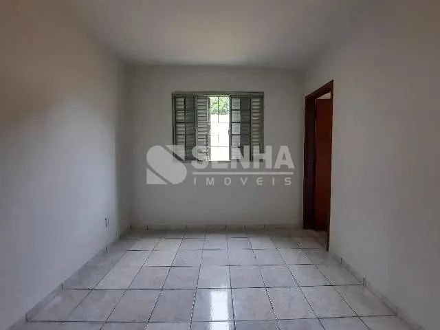 Imagem 7: Aluguel Apartamento Saraiva