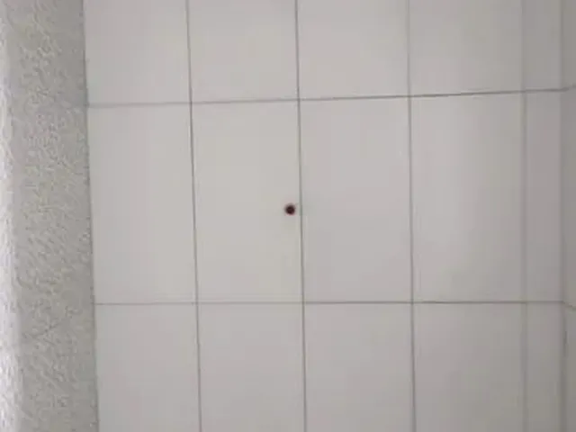 Imagem 13: Alugo Linda Casa em Itaboraí
