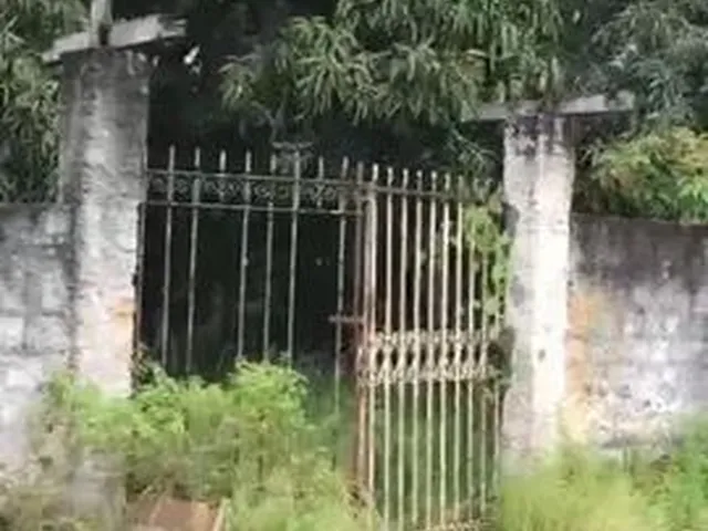 Imagem 2: Vendo Sítio/Terreno com 1.780M²