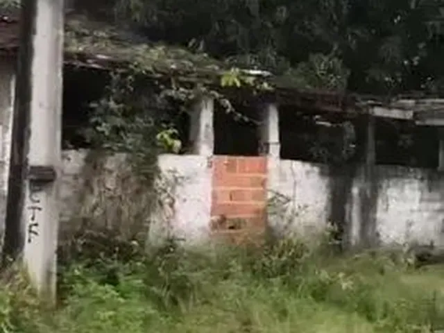 Imagem 3: Vendo Sítio/Terreno com 1.780M²