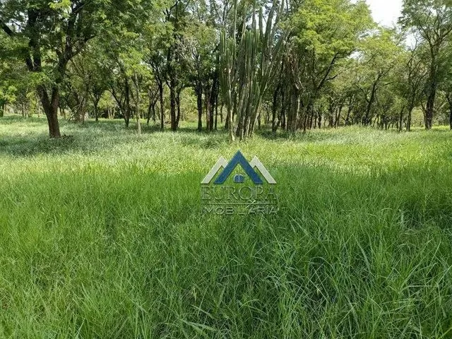 Imagem: Sítio À Venda, 12,5 Alqueires por R$ 1.750.000