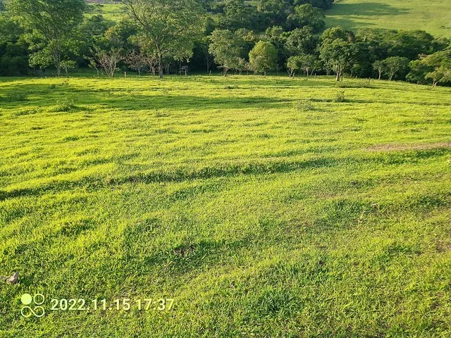 Imagem: Sitio