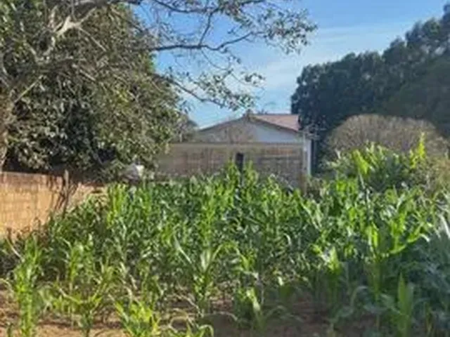 Imagem 10: Casa Padrão em Ibaté