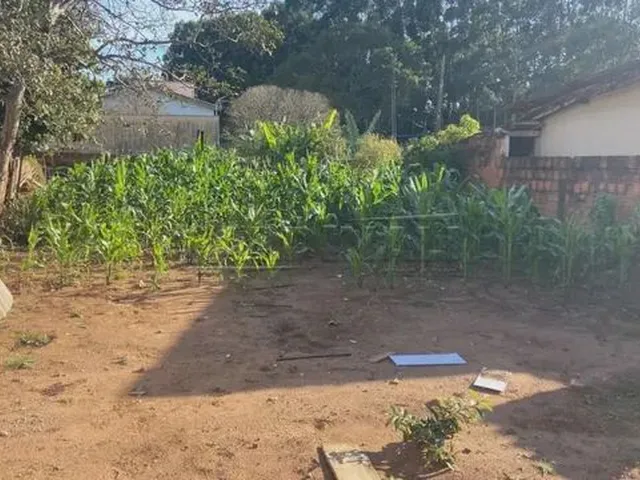 Imagem 3: Casa Padrão em Ibaté