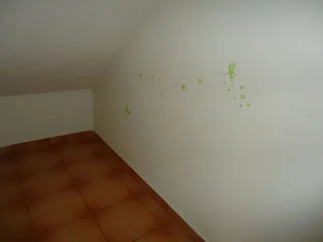 Imagem 13: Casa Padrão em São Carlos