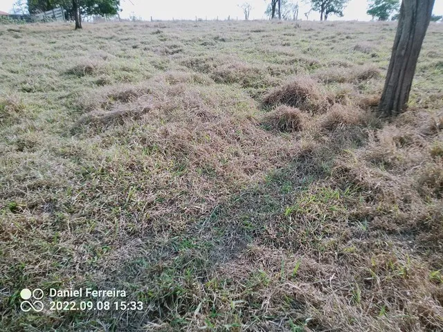 Imagem 3: Sítio 3.45 Alqueires