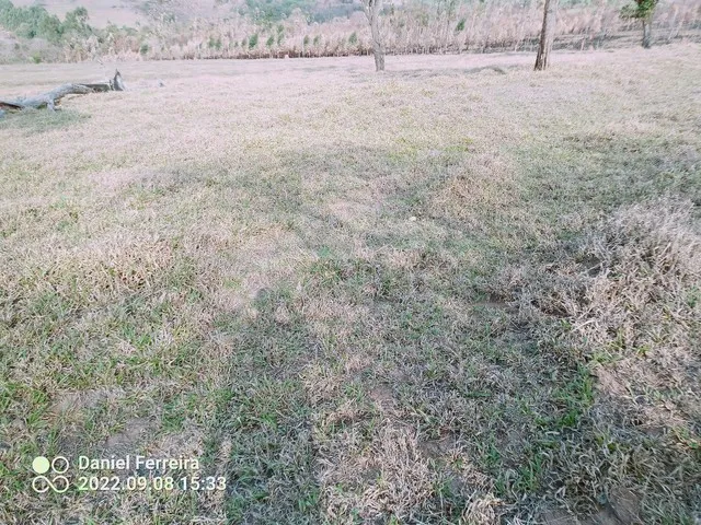 Imagem 6: Sítio 3.45 Alqueires