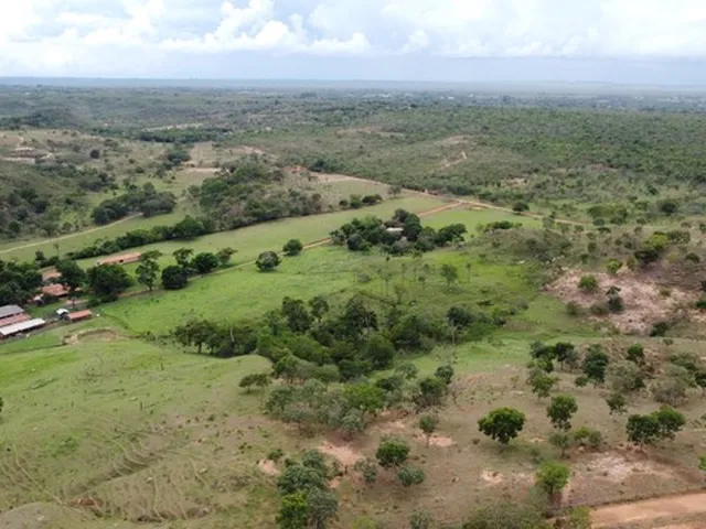 Imagem: Vendo Linda Fazenda