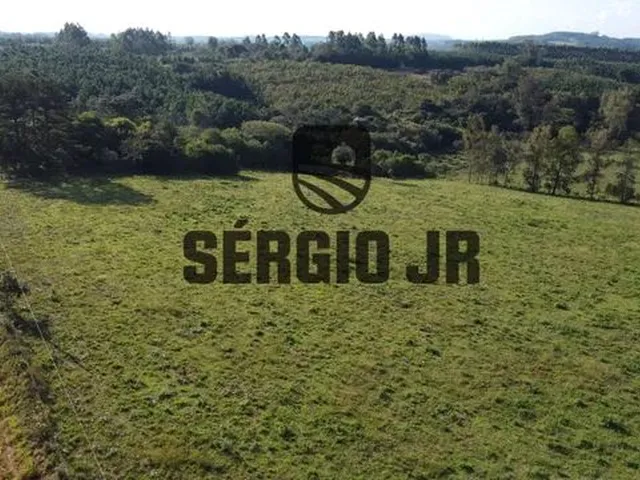 Imagem 14: Área de Terra com 5H em Triunfo
