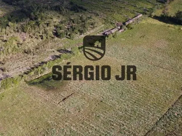 Imagem 4: Área de Terra com 5H em Triunfo