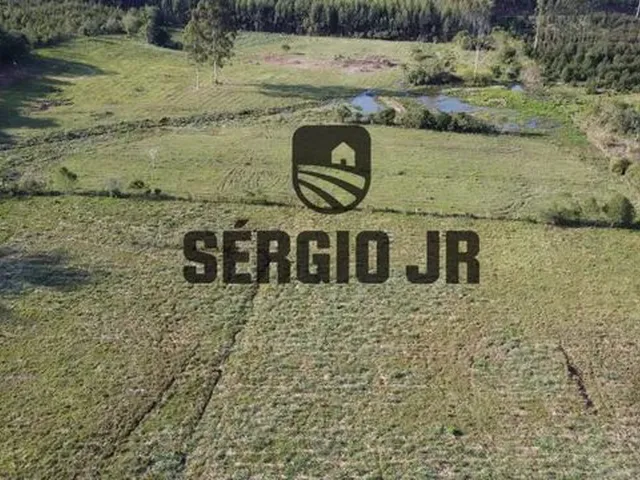 Imagem 15: Área de Terra com 5H em Triunfo