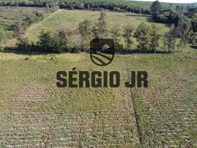 Imagem 13: Área de Terra com 5H em Triunfo