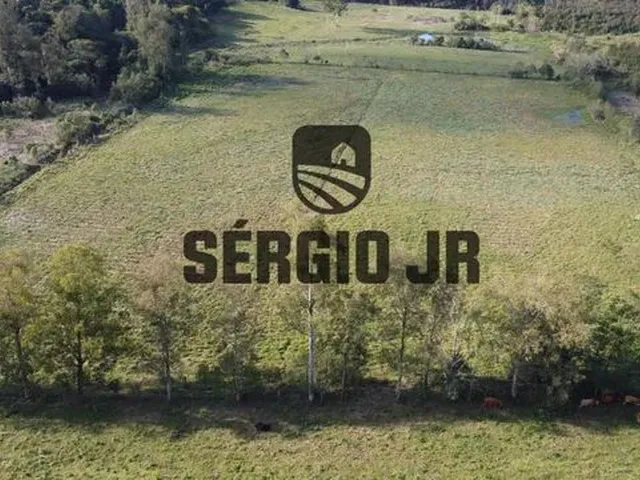 Imagem 2: Área de Terra com 5H em Triunfo