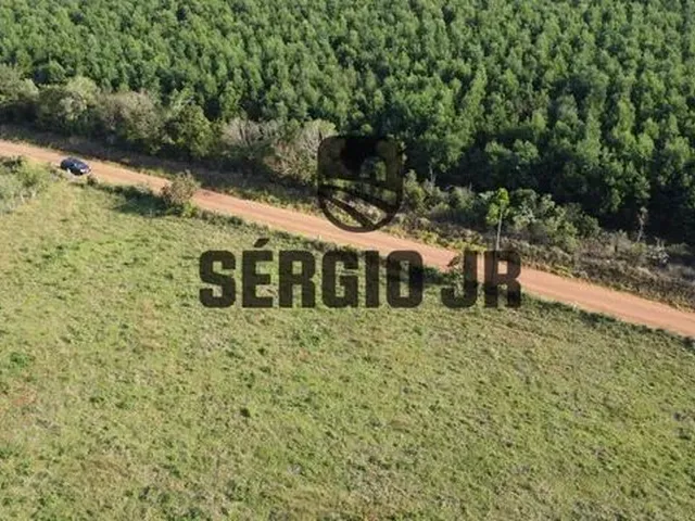 Imagem 3: Área de Terra com 5H em Triunfo