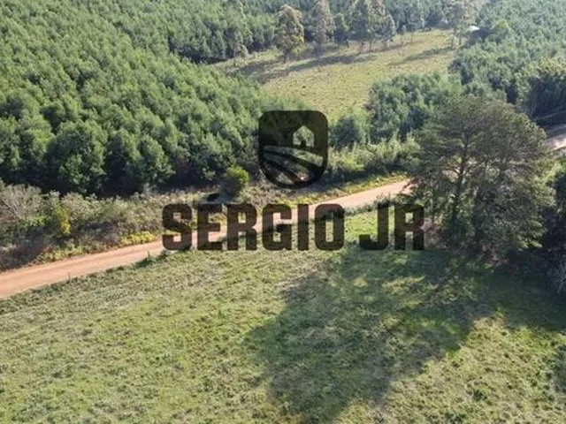 Imagem 16: Área de Terra com 5H em Triunfo