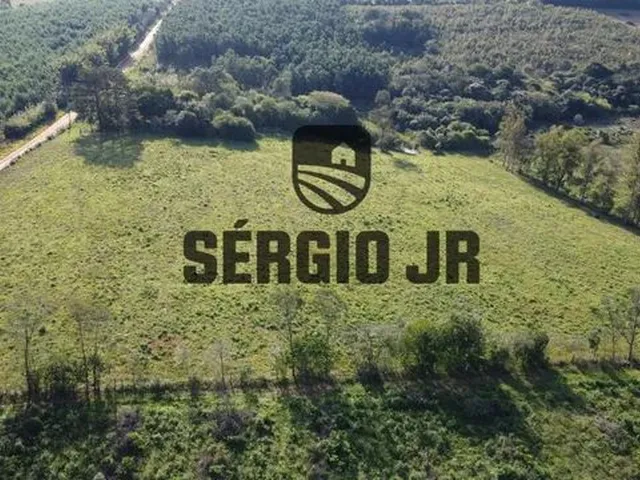 Imagem 7: Área de Terra com 5H em Triunfo