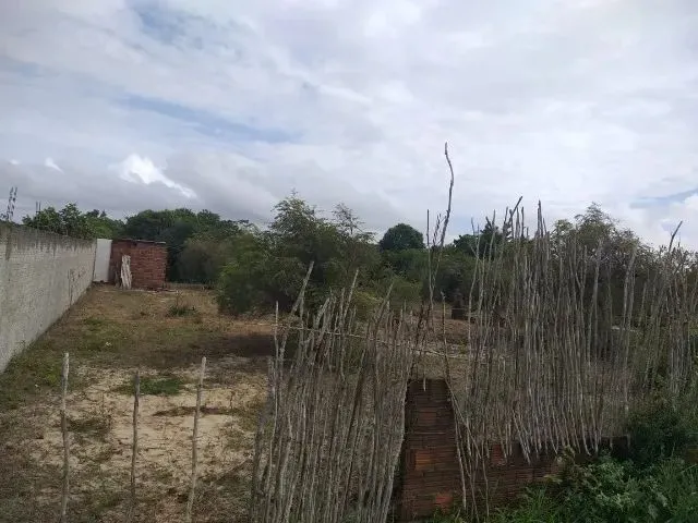 Imagem: Terreno em Pium